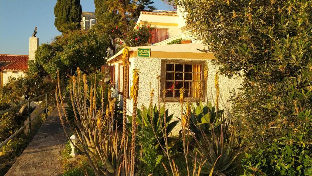 Willkommen Im Paradies - Welcome In Paradise - Bienvenidos Al Paraiso La Matanza De Acentejo Eksteriør bilde